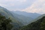 茶山
