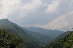 茶山