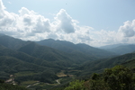 茶山