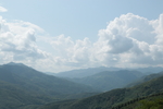 高山云雾茶山