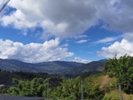 茶山