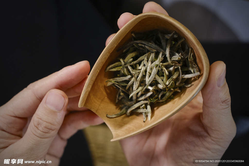 茶礼师泡茶