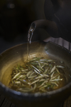 茶礼师泡茶