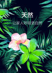 天然