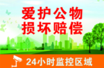 爱护公物