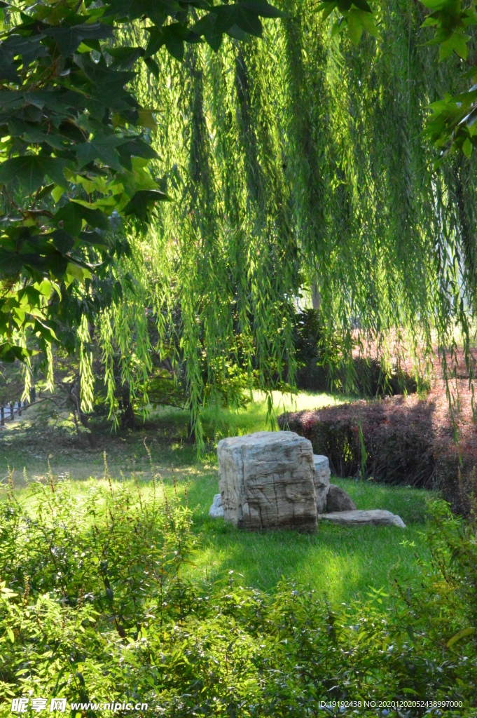 园林风景