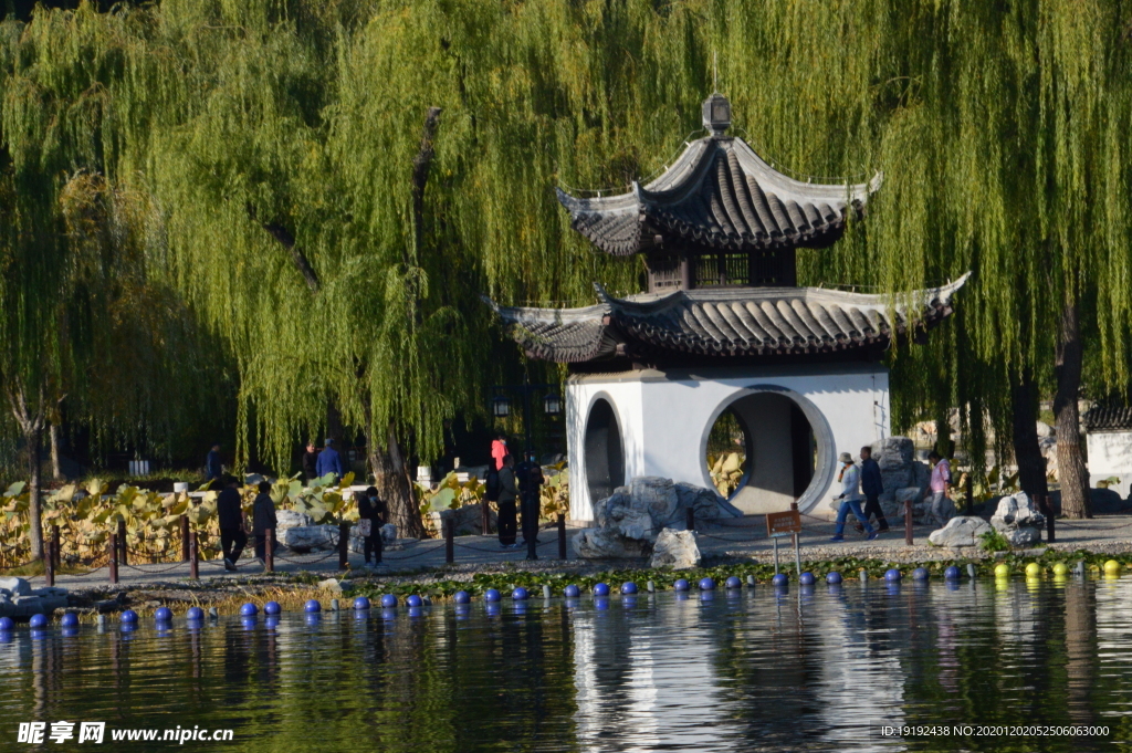 园林风景