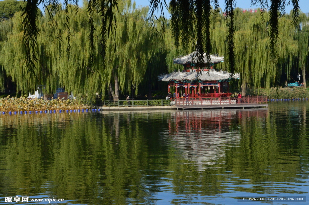 园林风景