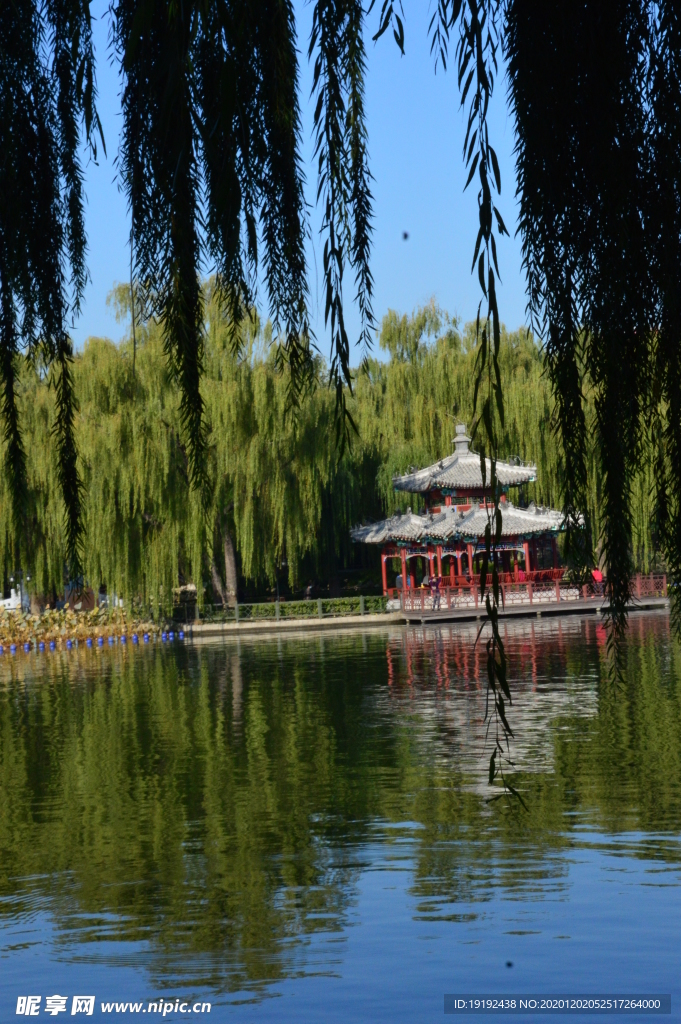 园林风景