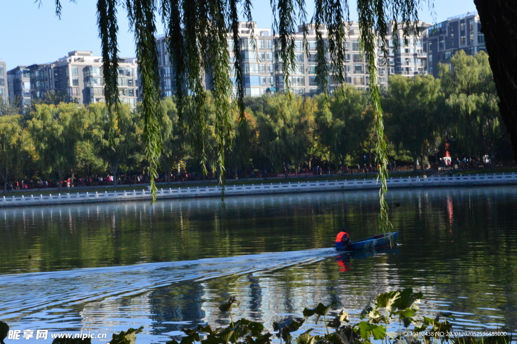 园林风景