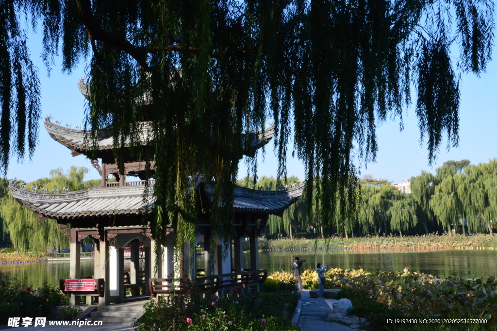 园林风景