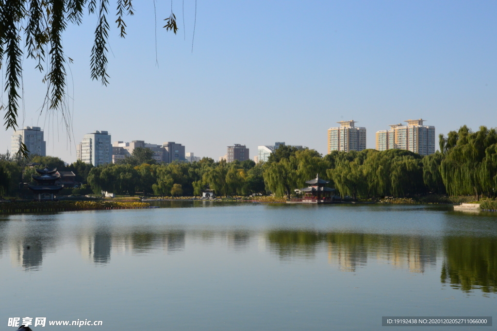 园林风景
