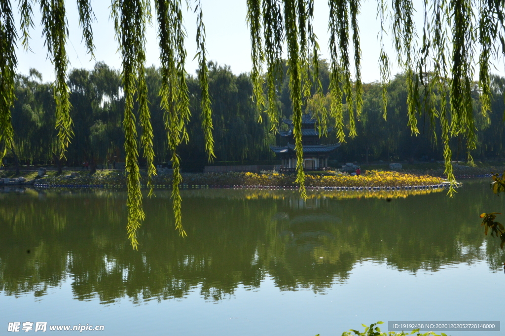 园林风景