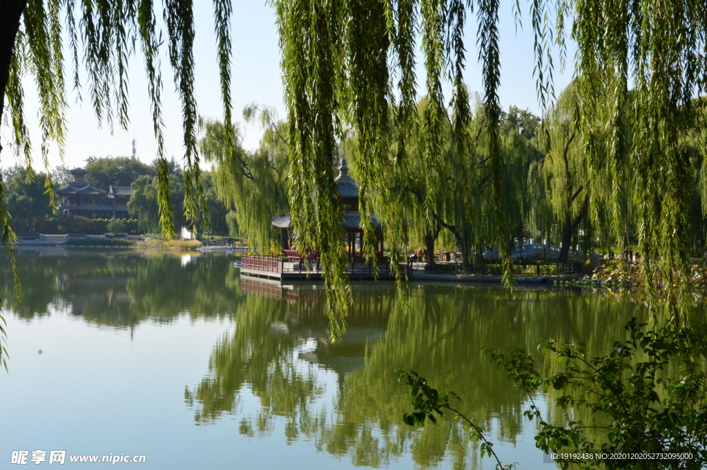 园林风景