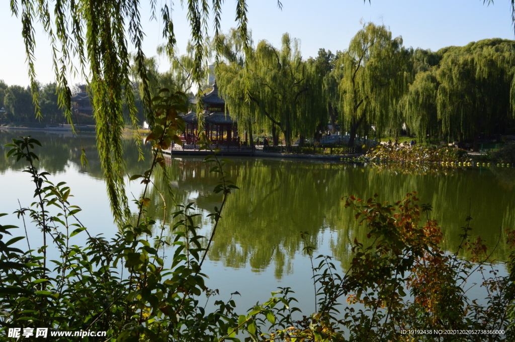 园林风景