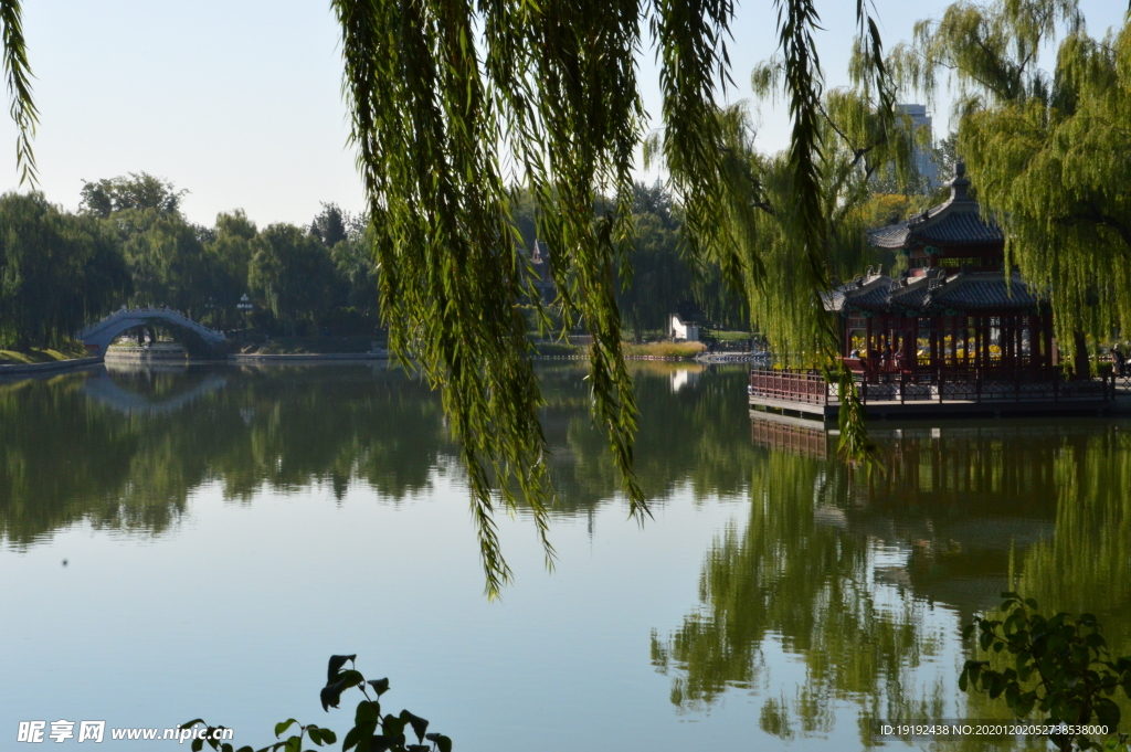 园林风景
