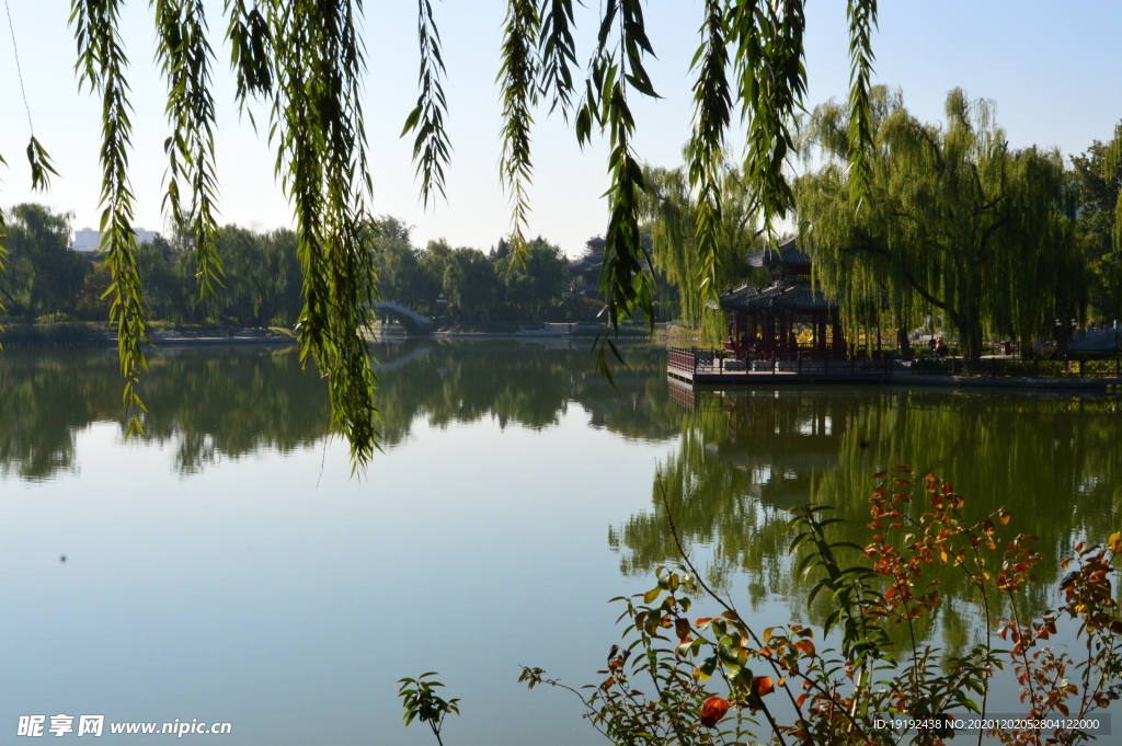 园林风景