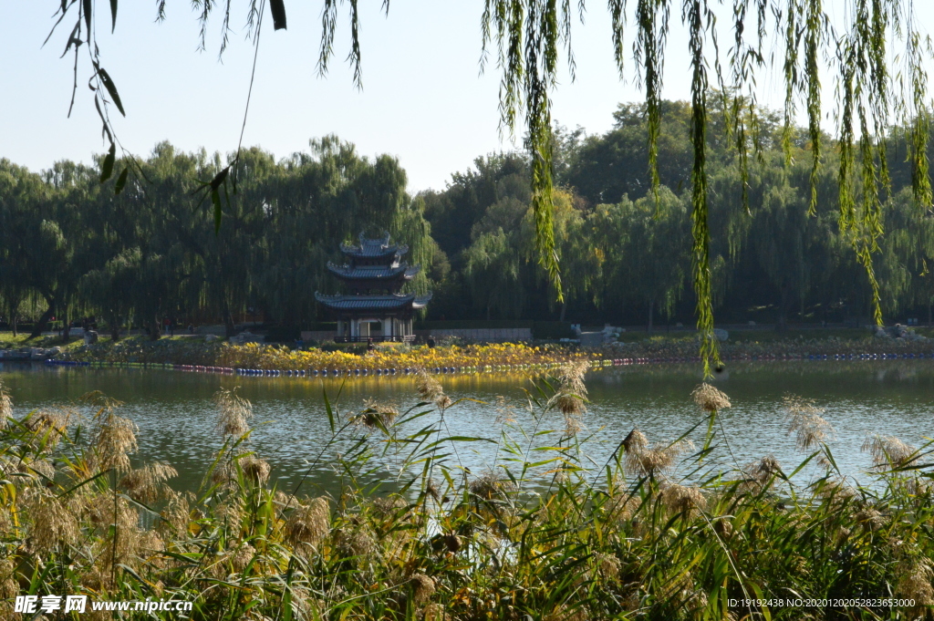 园林风景