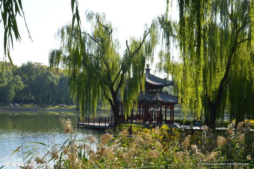 园林风景