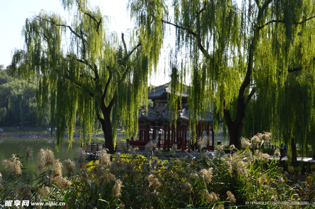 园林风景