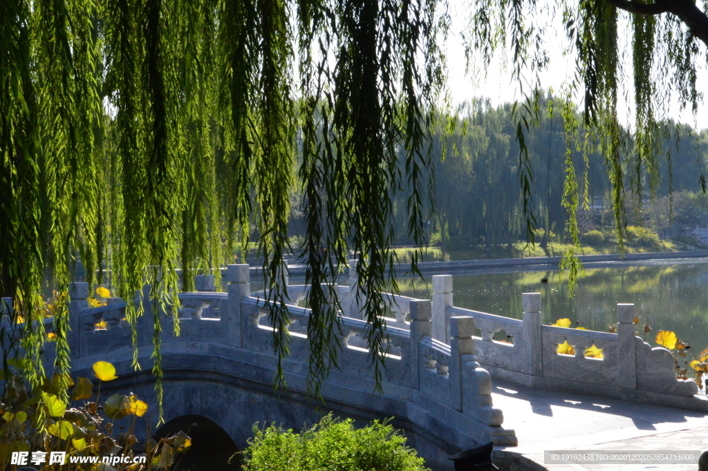 园林风景
