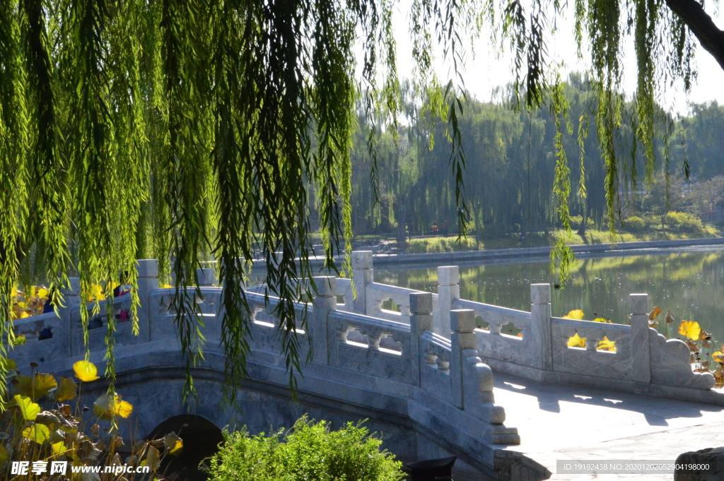 园林风景