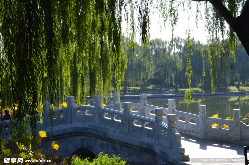 园林风景