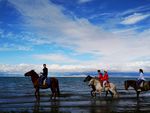 青海湖