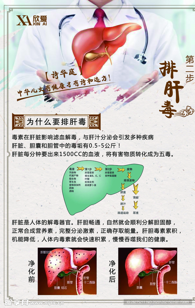 排肝毒