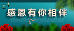 感恩节