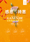 感恩节