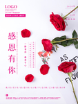 感恩节