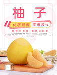 秋季柚子应季水果宣传海报