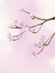 插画素材