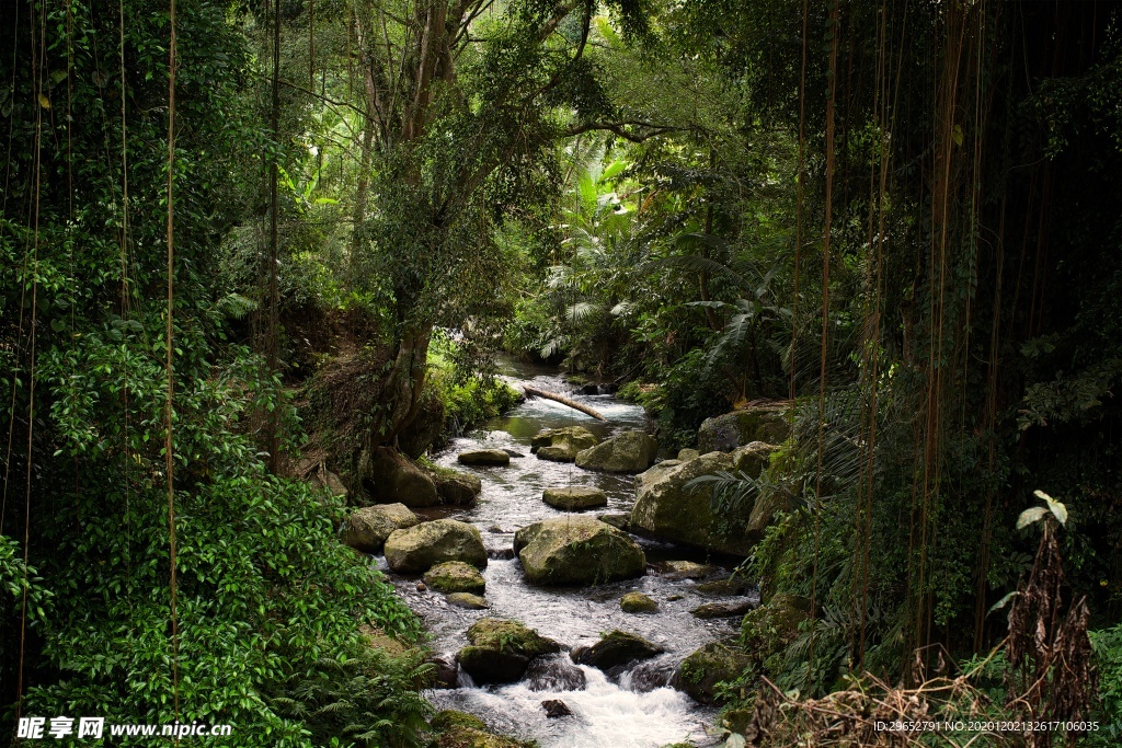 江河溪流