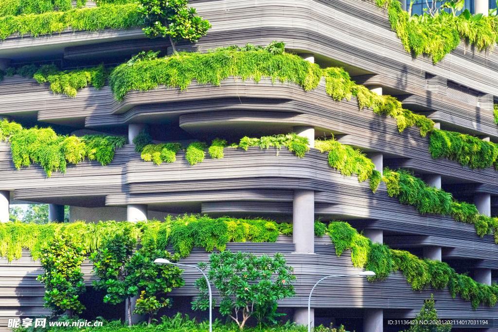 绿植与建筑