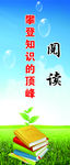 阅读
