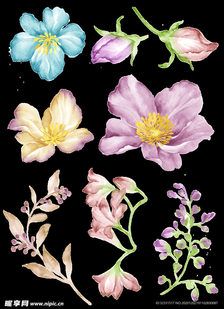 手绘花