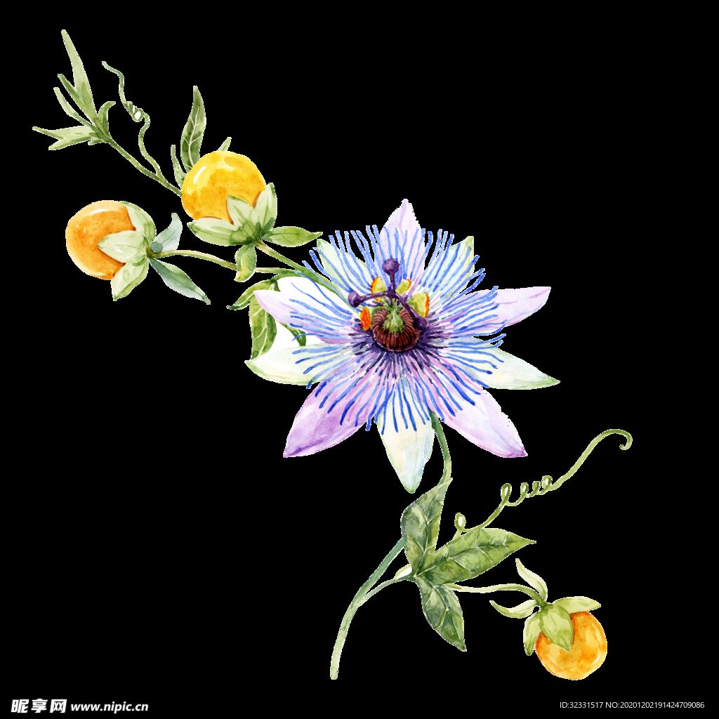 手绘花