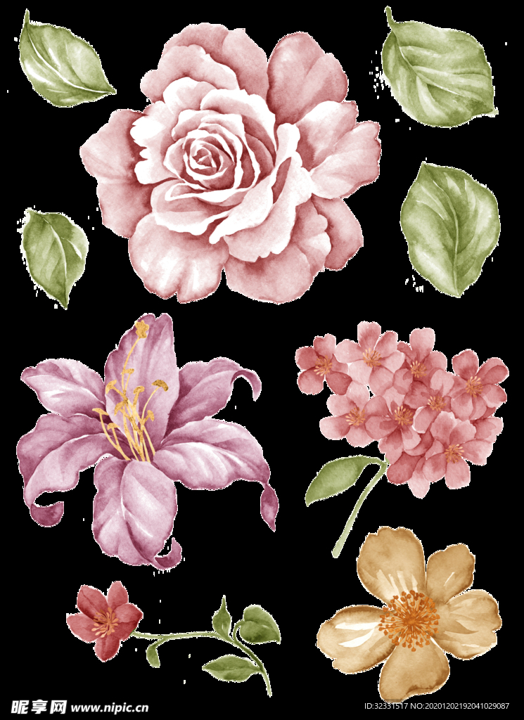手绘花