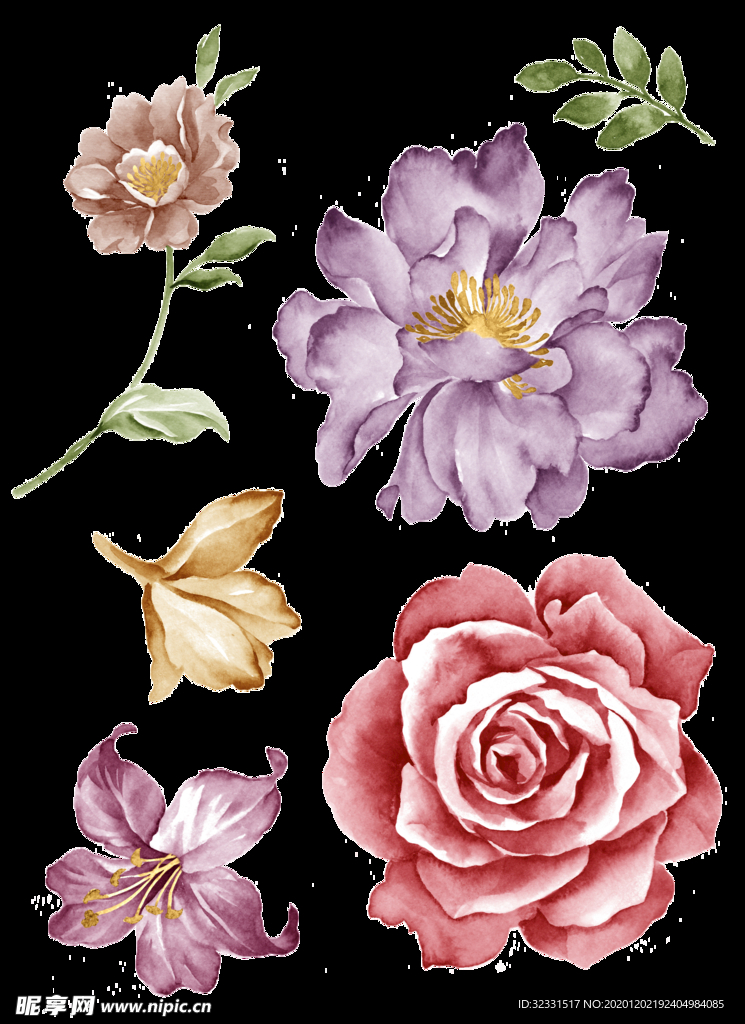 手绘花