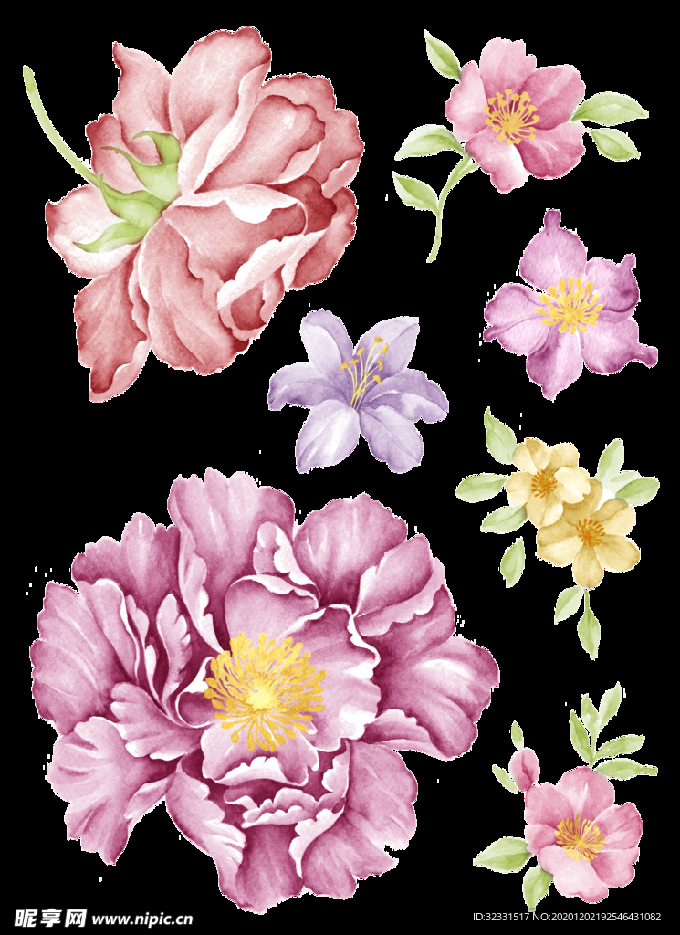 手绘花