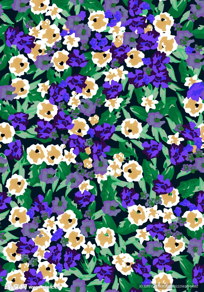 雏菊
