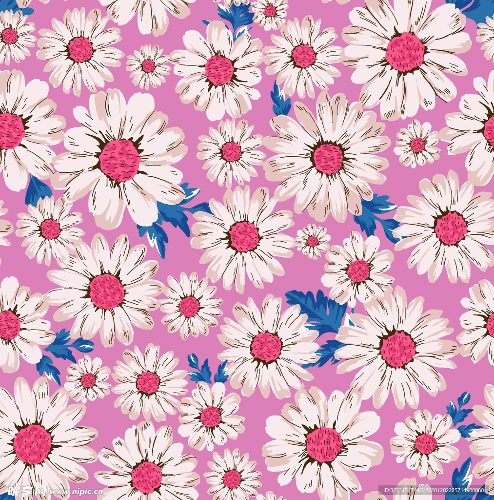 雏菊