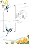 白鹭