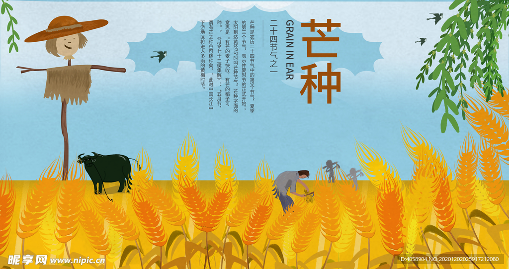 芒种