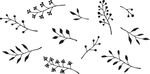 手绘植物花纹