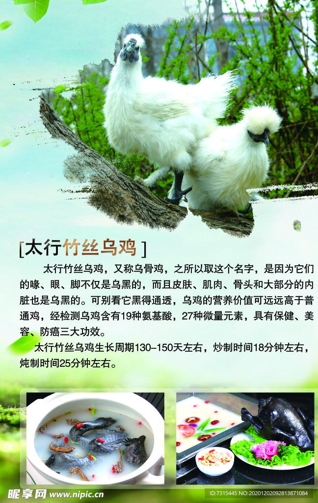 太行竹丝乌鸡