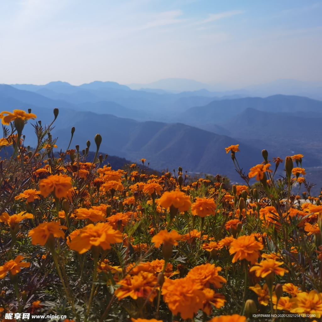 自然风光