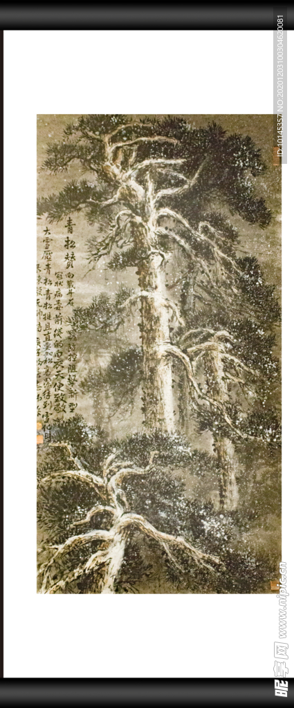 青松